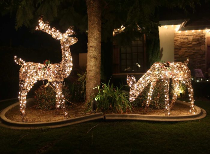 Outdoor lawn decor christmas