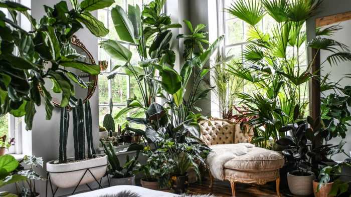 Kitchen decor with plants